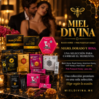 Pack Rey Supremo | 10 Cajas Premium